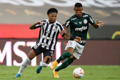 Antes de la coronación de este sábado ante Flamengo, Palmeiras se había consagrado en enero frente a Santos.