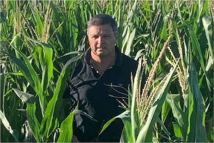 Mario Cuenca camina entre los maizales de su campo al sur de la provincia de Córdoba