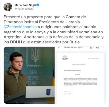 Mario Negri compartió su proyecto de resolución en Twitter