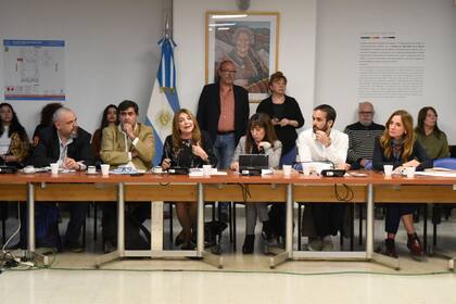 Marisa Graham expuso ante la Comisión de Familia, Niñez y Juventudes