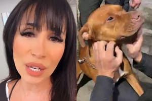 Marixa Balli vivió una tensa situación afuera de LAM cuando intervino para rescatar a una perrita (Foto: Captura de video)