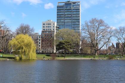 Mark Levine utilizó su cuenta de Twitter para comunicar la medida que luego resultó desmentida