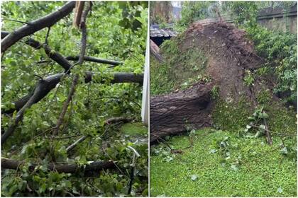 Marley mostró los destrozos que provocó la lluvia en el frente de su casa