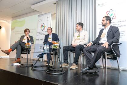 Marnix Doorn, Johannes A. Jehle, Diego Sauka y Cristiano Menezes