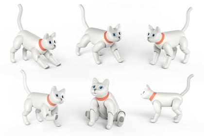 MarsCat está equipado con un RaspBerry Pi 3 y puede realizar diversos movimientos propios de los felinos reales
