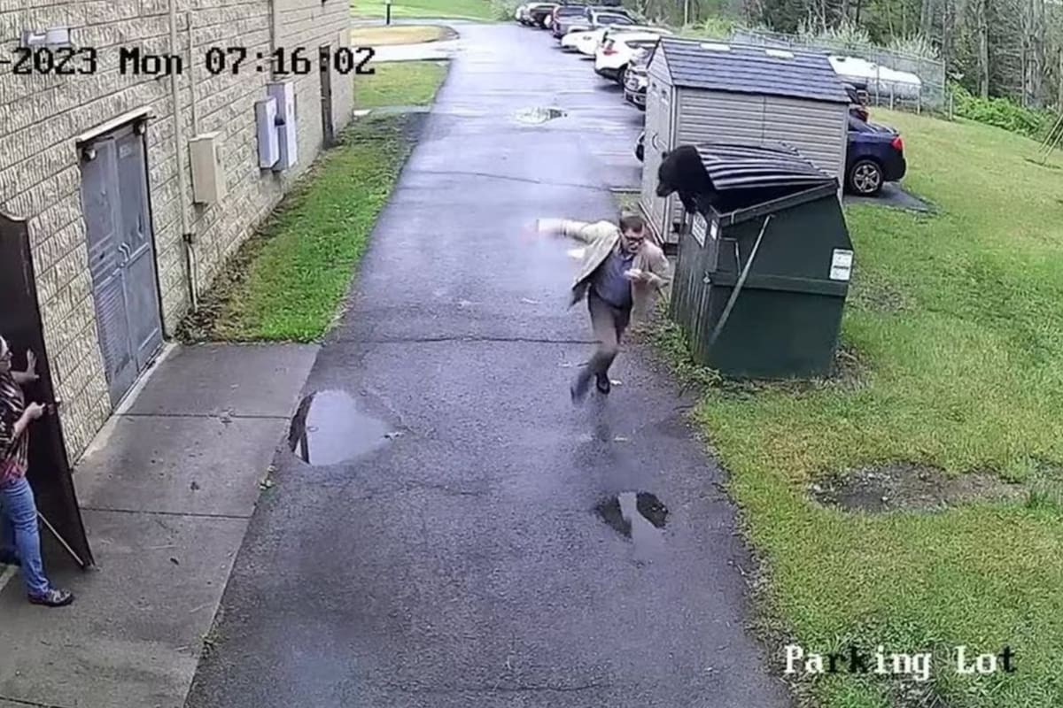 Marsh no sabía que el oso estaba dentro del contenedor de basura cerrado antes de abrirlo (Foto: Tomada del video)