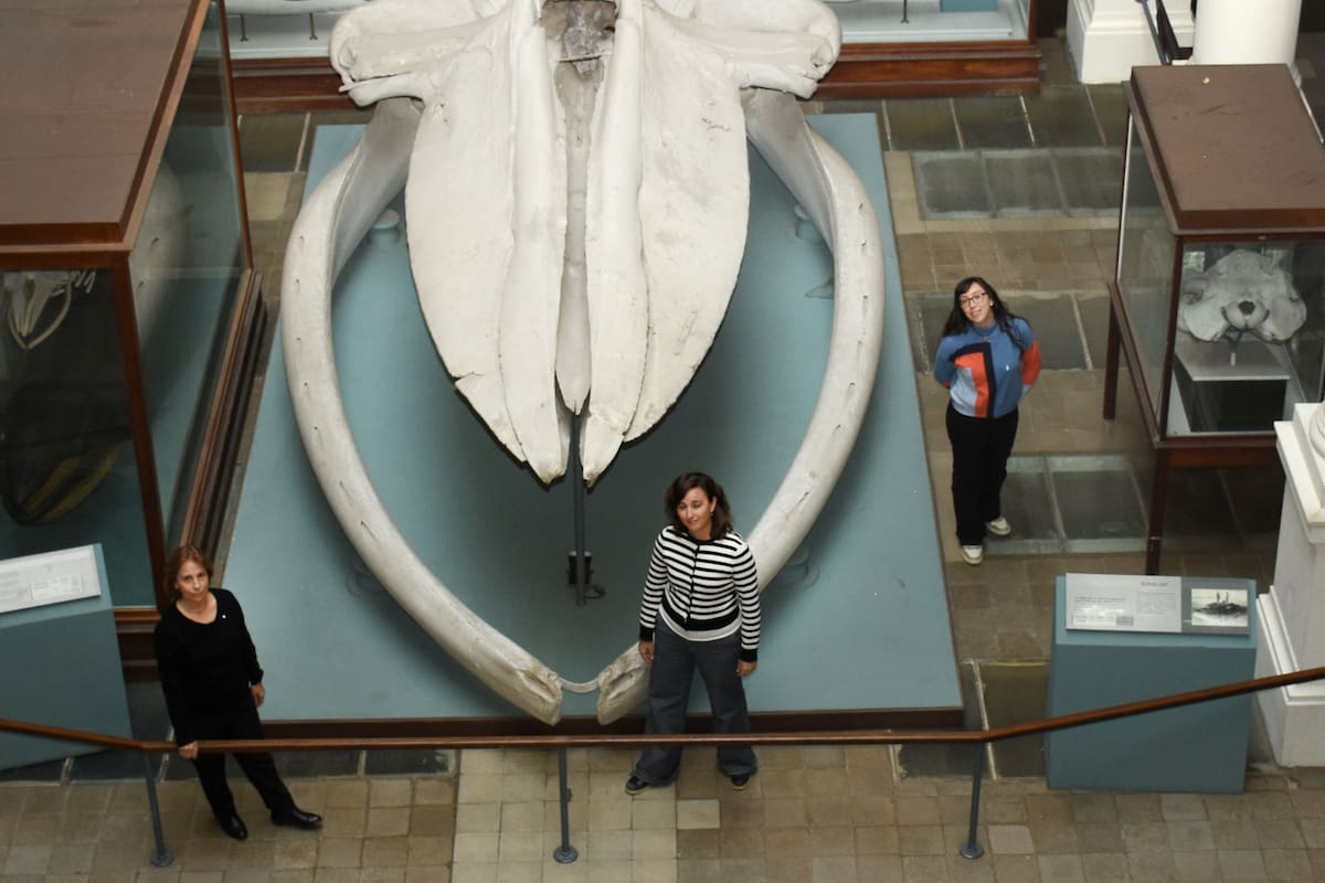 Marta Fernández, Mónica Buono y Florencia Paolucci en el Museo de La Plata.