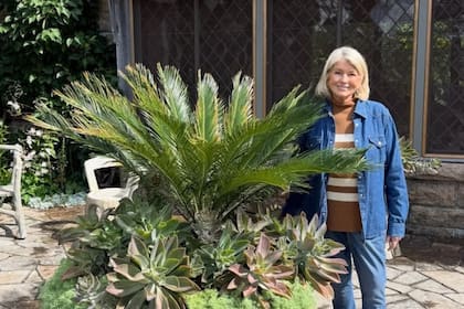 Martha Stewart destacó la alegría que le genera la jardinería y contó que gasta mucho dinero en la actividad