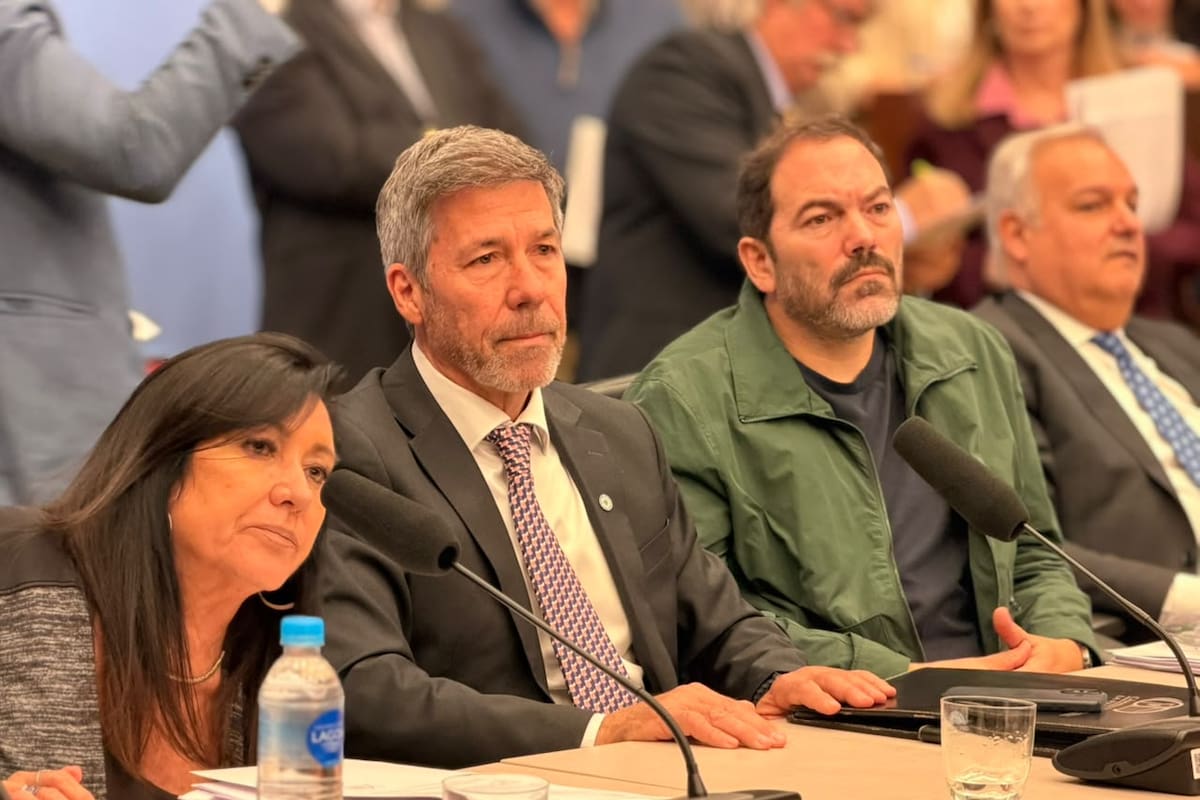 Martín Ardohain, diputado del PRO, y Laura Rodríguez Machado, presidenta de la Comisión de Legislación Penal