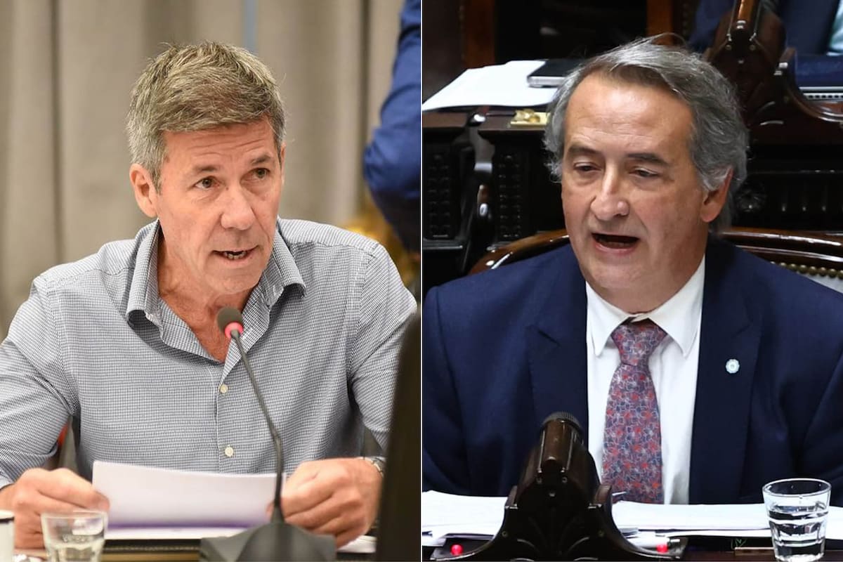Martin Ardohain y Nicolás Mayoraz