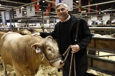 Dos países europeos podrían ser un gran mercado para la carne de una raza desarrollada en una universidad