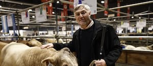 Dos países europeos podrían ser un gran mercado para la carne de una raza desarrollada en una universidad