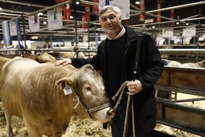 Dos países europeos podrían ser un gran mercado para la carne de una raza desarrollada en una universidad