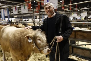 Dos países europeos podrían ser un gran mercado para la carne de una raza desarrollada en una universidad