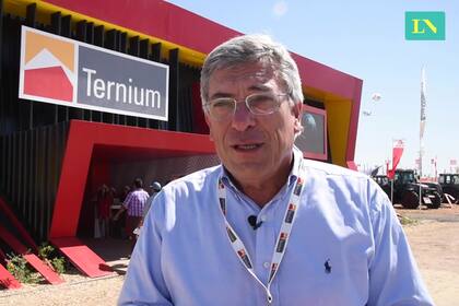 Martín Berardi, presidente de Ternium