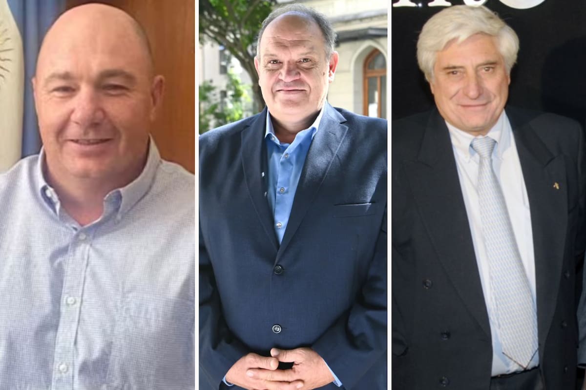 Martín Famulari (Inase), Nicolás Bronzovich (INTA) y Carlos Tizio (INV)