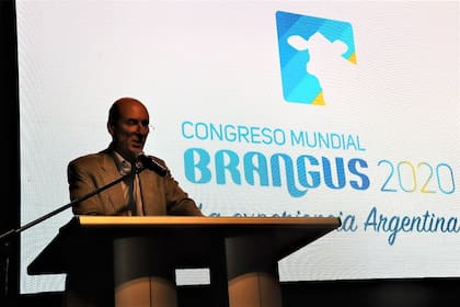 Martín Goldstein, presidente del Comité Organizador del Mundial Brangus 2020
