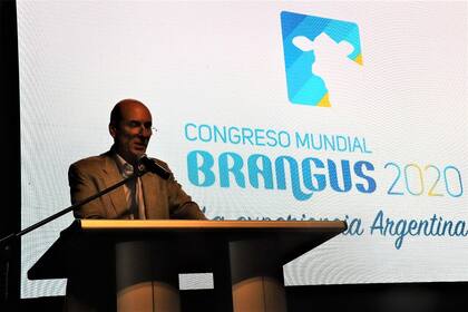 Martín Goldstein, presidente del Comité Organizador del Mundial Brangus 2020
