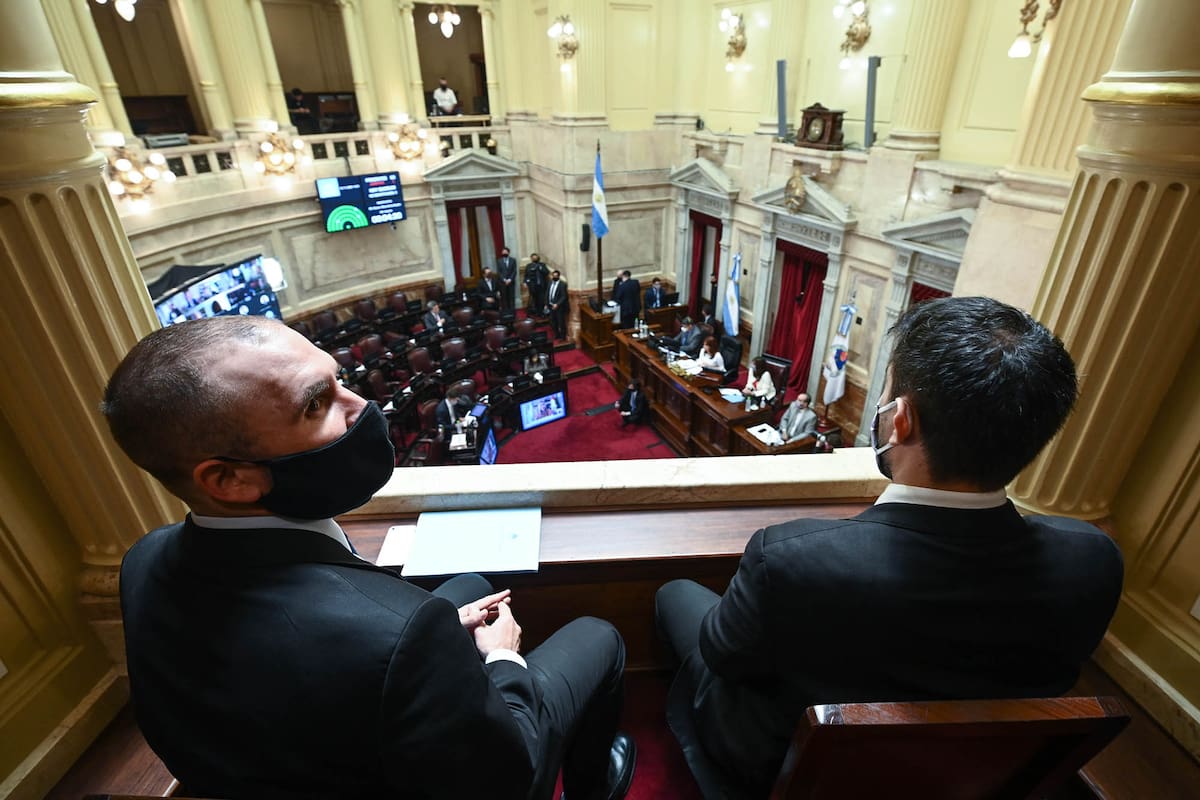 Martín Guzmán en el Senado
