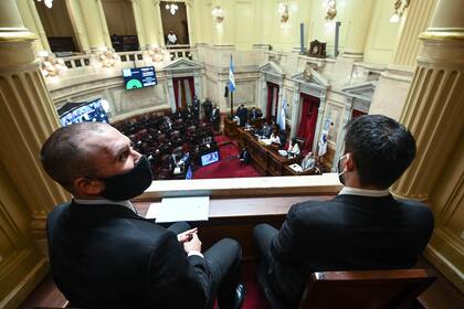 Martín Guzmán en el Senado