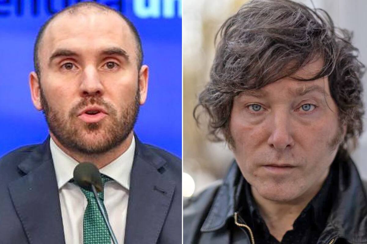 Martín Guzmán y Javier Milei