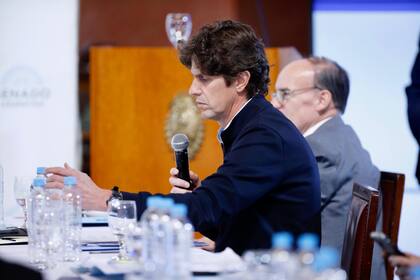 Martín Lousteau, durante la exposición de García Mansilla