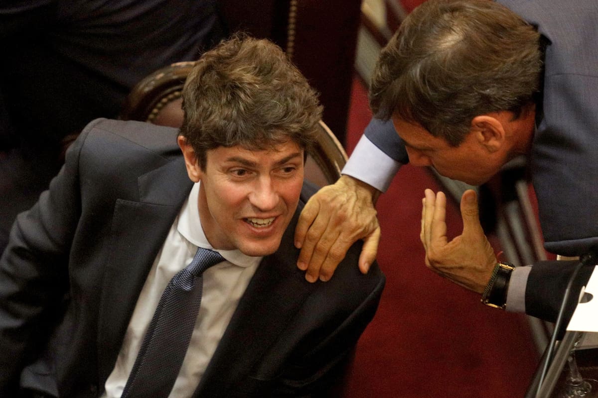 Martín Lousteau, en el Senado