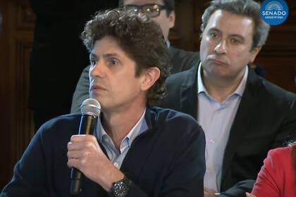 Martín Lousteau en el debate de comisiones de la Ley Bases