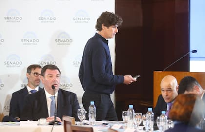 Martín Lousteau en la audiencia del Senado