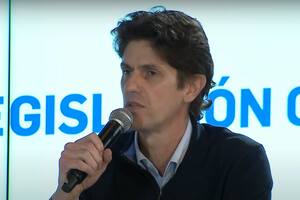 Martín Lousteau en la comisión del Senado