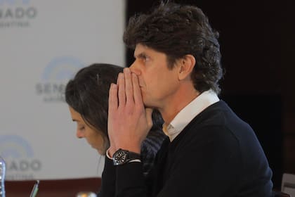 Martín Lousteau, uno de los senadores radicales que objeta el blanqueo y el RIGI