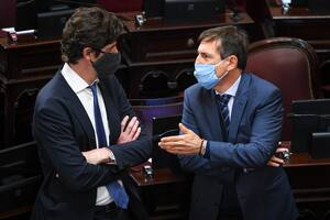 Martín Lousteau y Luis Naidenoff en la sesión del Senado de la Nación en la que se trató el retiro de proyectos para modificar la ley del Ministerio Público, el 29 de octubre 2020