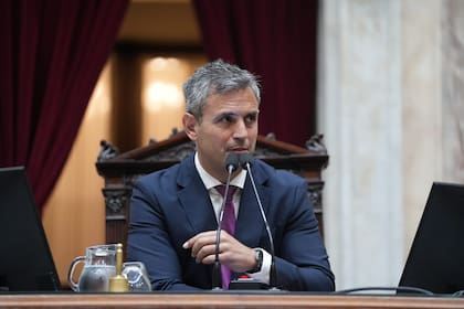 martin-menem-durante-la-sesion-de-aceptacion-de-UDEMWNBCURBE3DGJLCPDPHDLVU