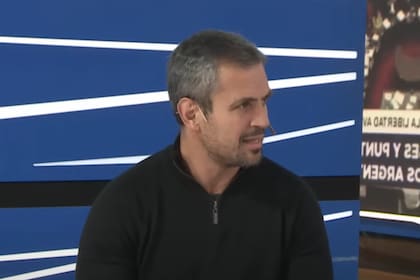 Martín Menem, en LN+.