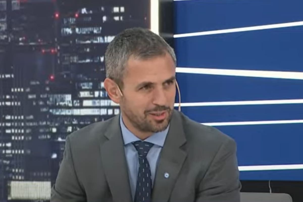 Martín Menem, en LN+.