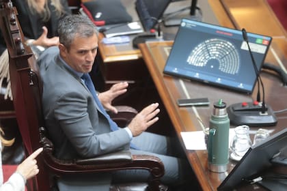 Martín Menem, presidente de la Cámara de Diputados