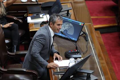 Martín Menem, presidente de la Cámara de Diputados