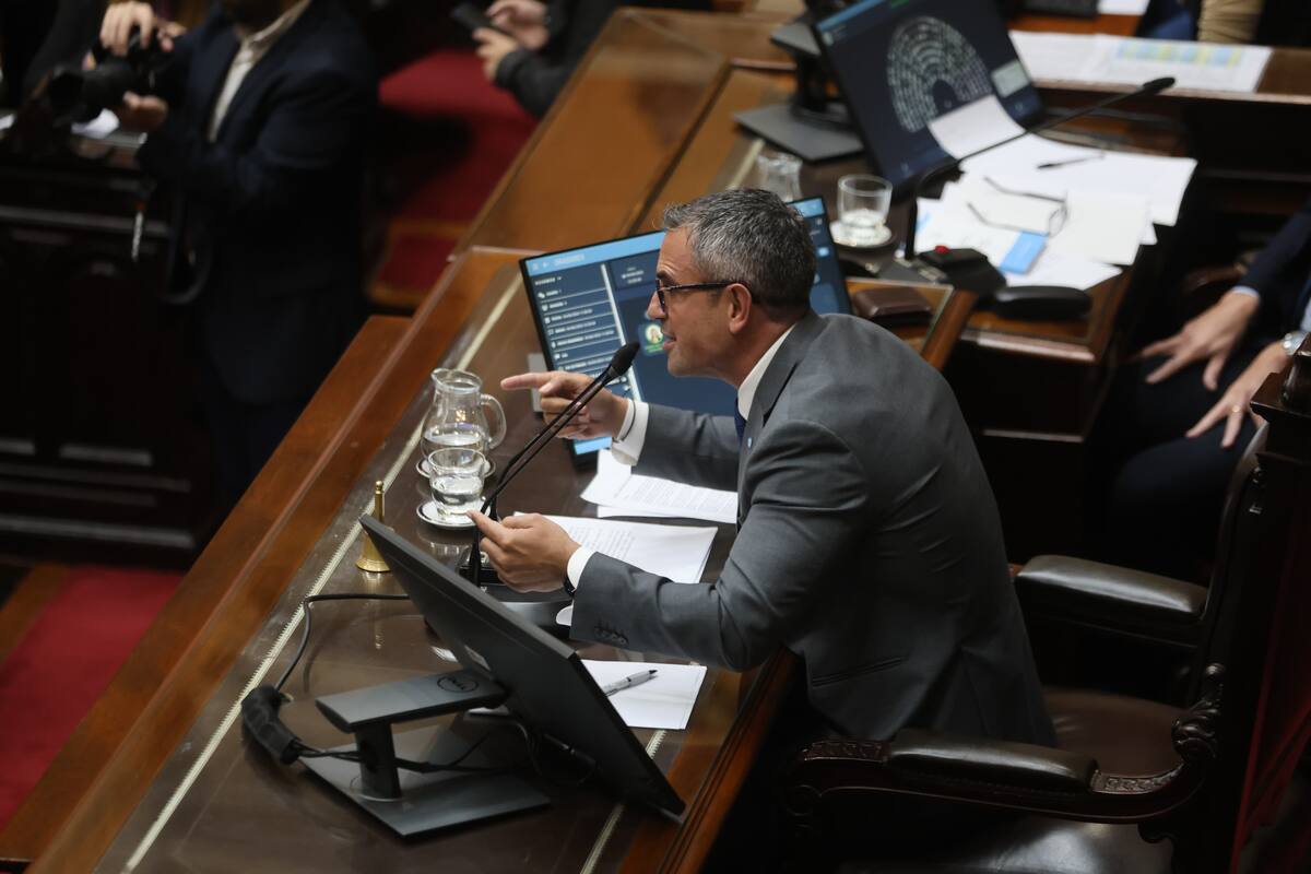 Martín Menem, presidente de la Cámara de Diputados