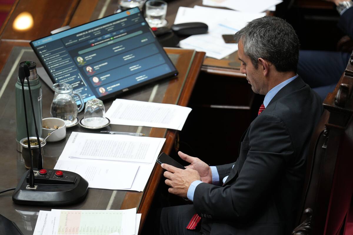 Martín Menem, presidente de la Cámara de Diputados