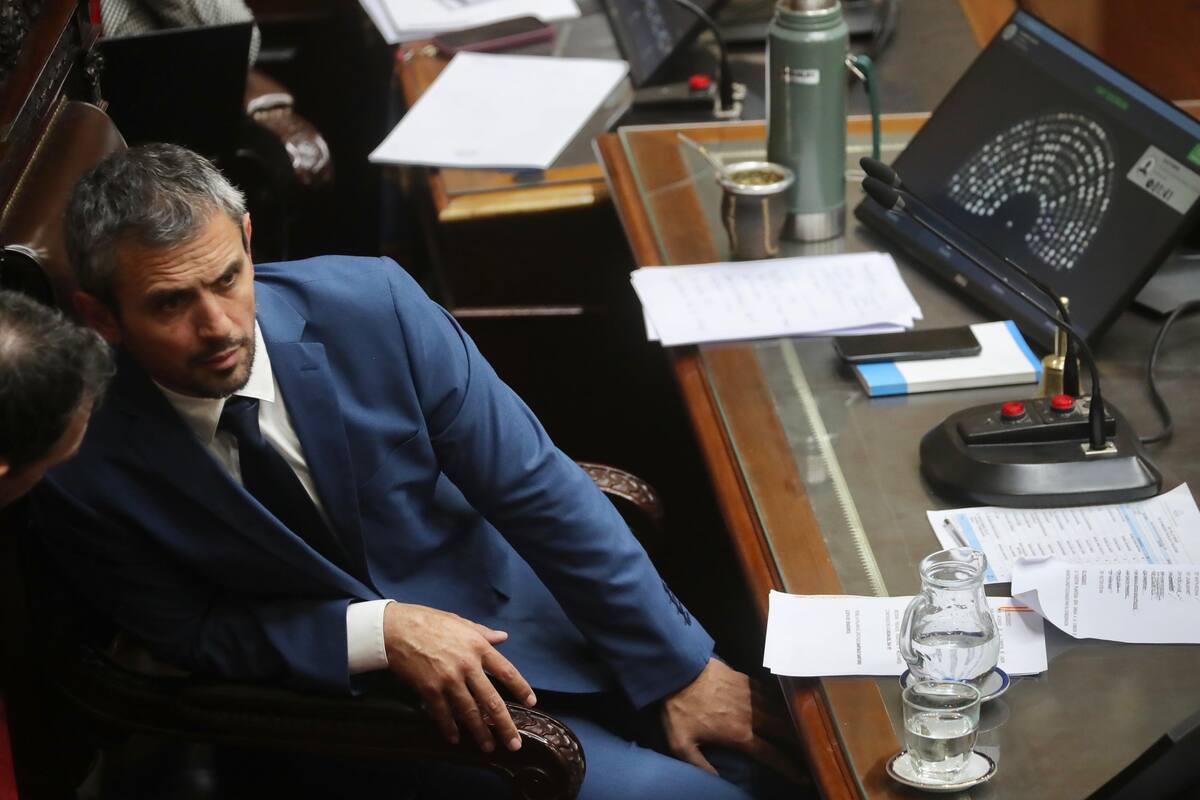 Martín Menem presidente de la Cámara de Diputados