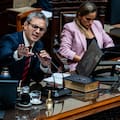 Discapacidad: los cambios que reclaman Pro y la UCR, el punto que no quiere ceder Milei y el proyecto de la oposición