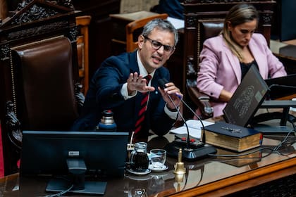 Martín Menem, titular de la Cámara de Diputados, abrió el juego a los aliados y presiona a Economía para aceptar los cambios en Discapacidad