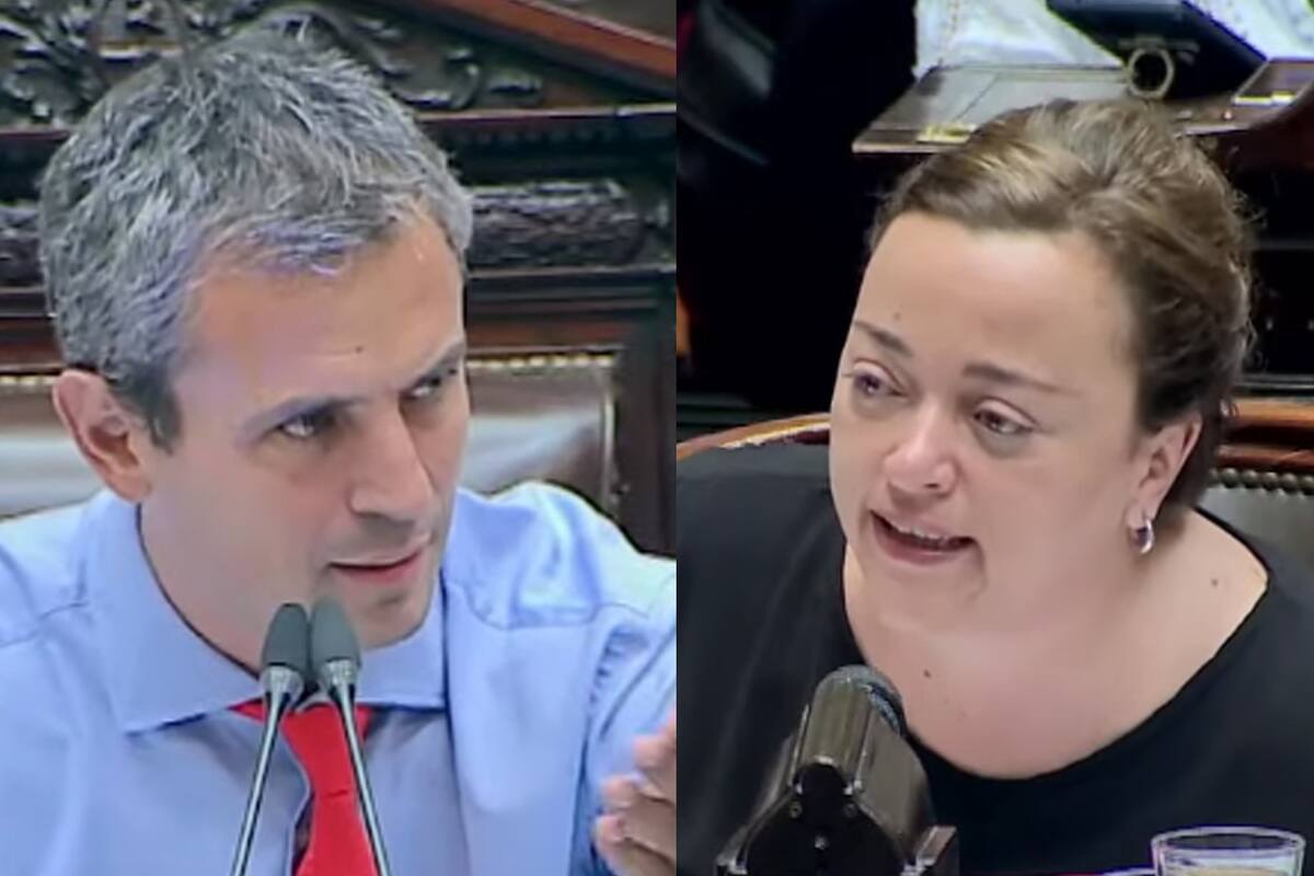Martín Menem y Cecilia Moreau protagonizaron otra discusión en medio del debate sobre la ley ómnibus