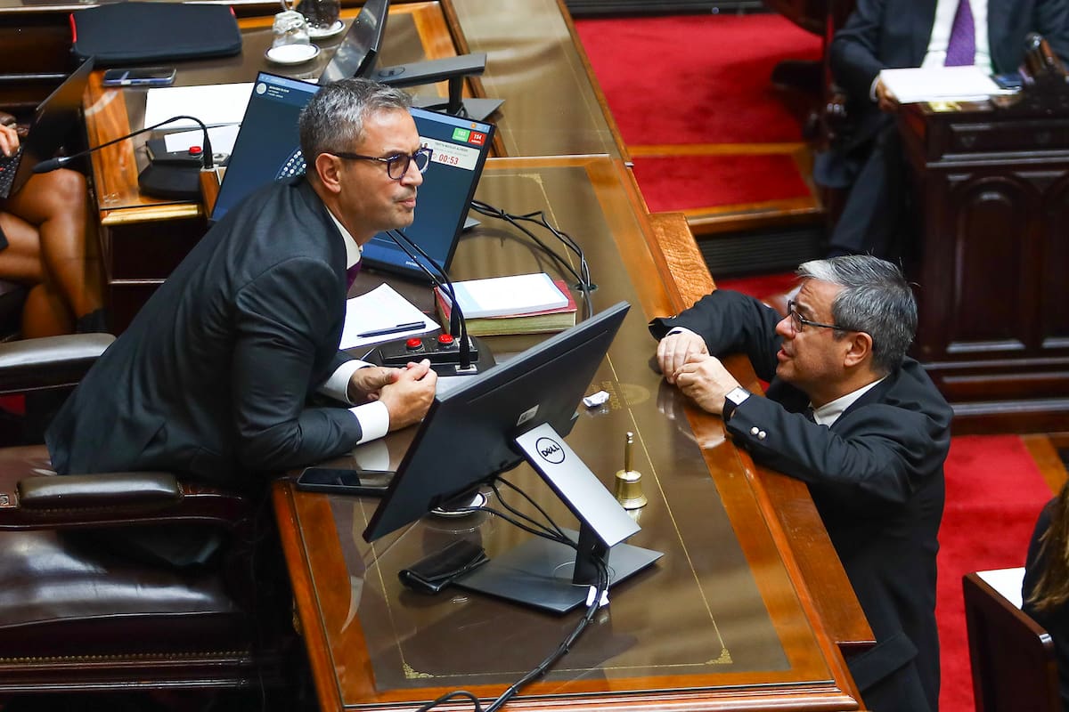Martín Menem y Germán Martínez