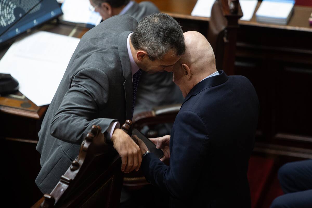 Martín Menem y José Luis Espert, espadas de Milei en Diputados, se sintieron desafiados por el bloque kirchnerista