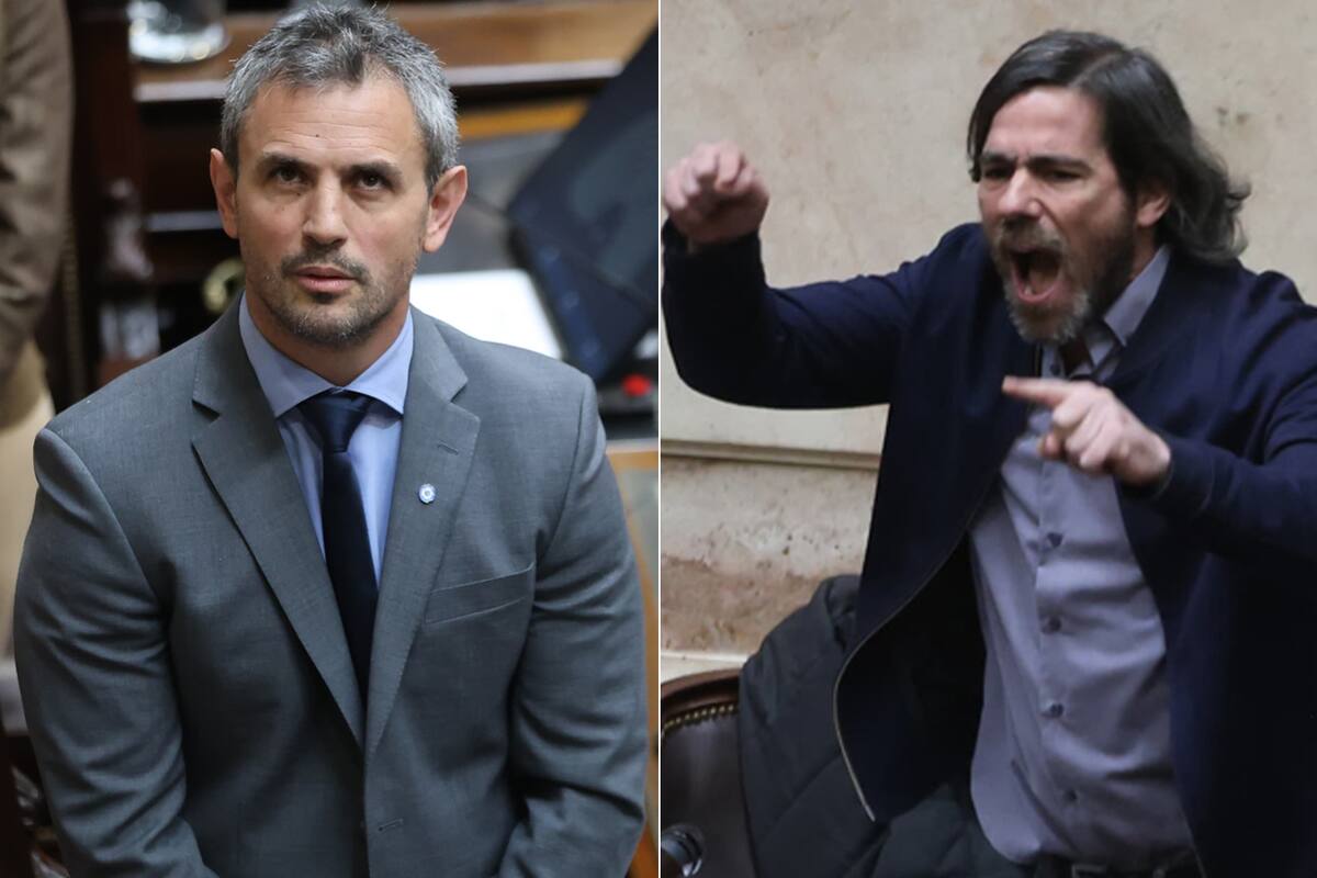 Martín Menem y Nicolás del Caño