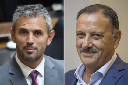 Martín Menem y Ricardo Quintela