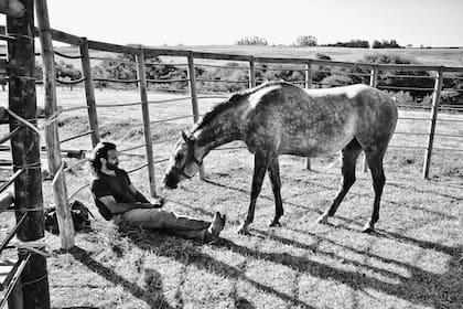 Martín no obliga al caballo a que haga nada, espera a que se le acerque