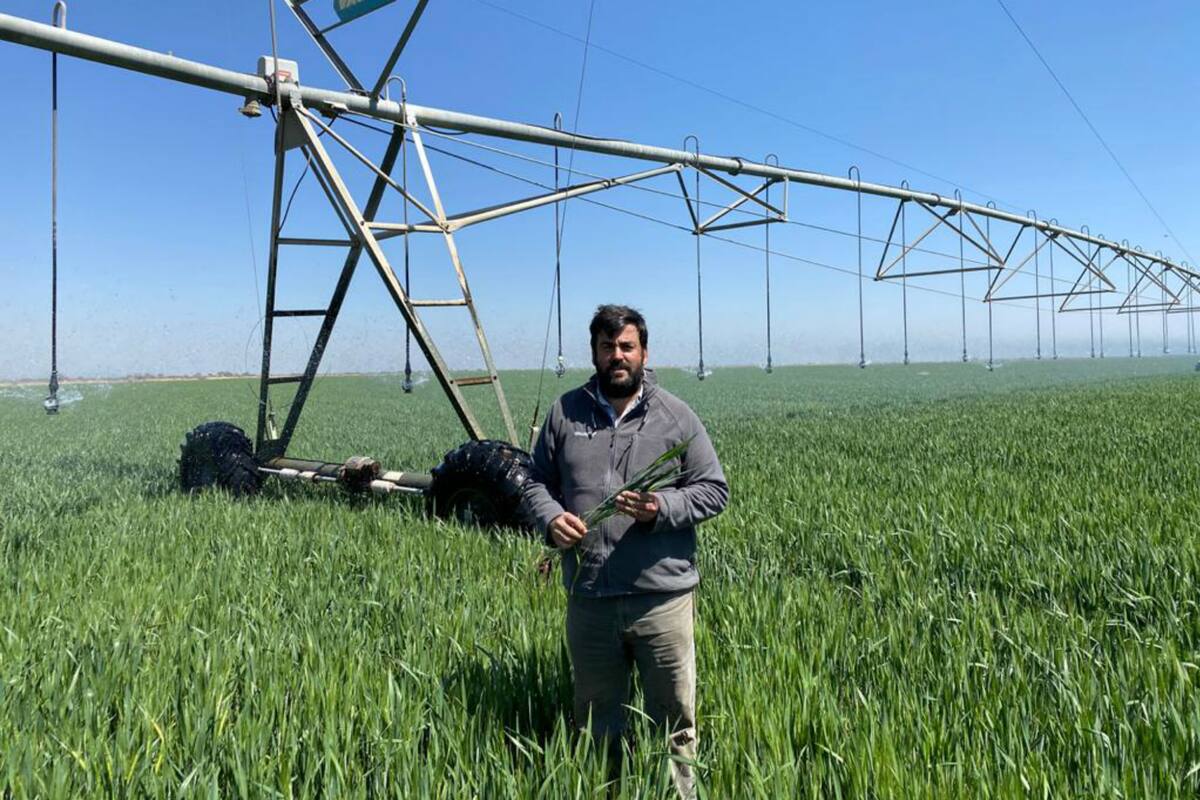 Martín Pasman, un productor cordobés que está en contra de los cortes en las rutas