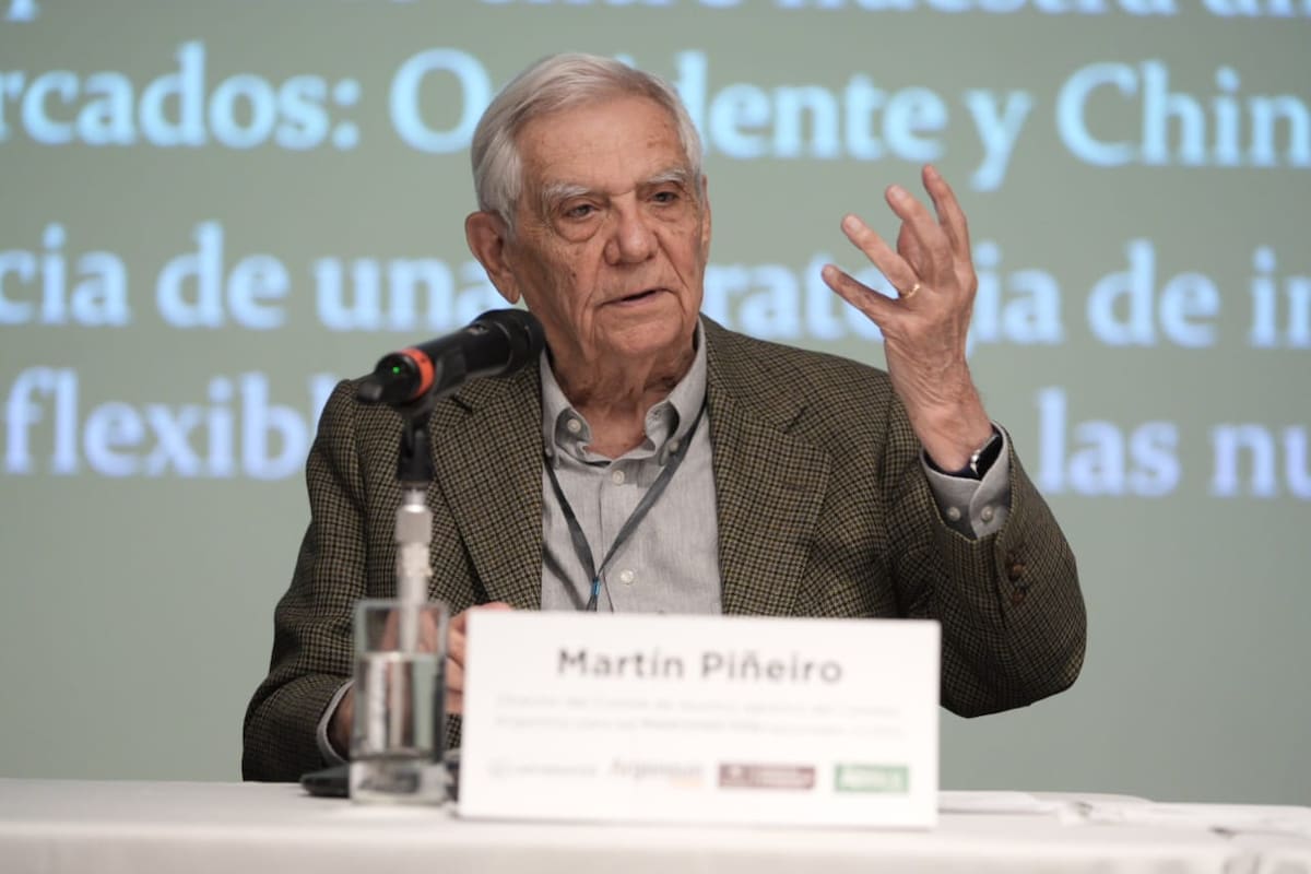 Martín Piñeiro señaló que en un mundo más conflictivo y fragmentado económicamente se comienza a dividir en dos grandes polos: simplificando, Occidente y Rusia, China e Irán